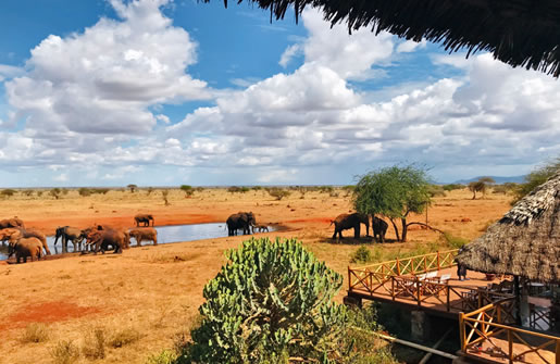 Game viewing from Ngutuni Lodge